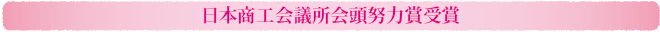 日本商工会議所会頭努力賞受賞